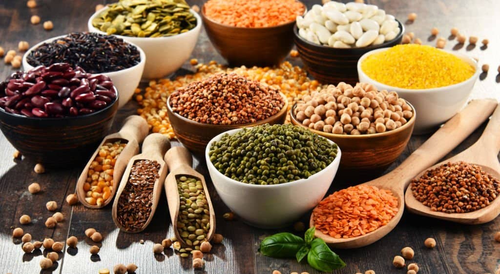 Agriculture Products
