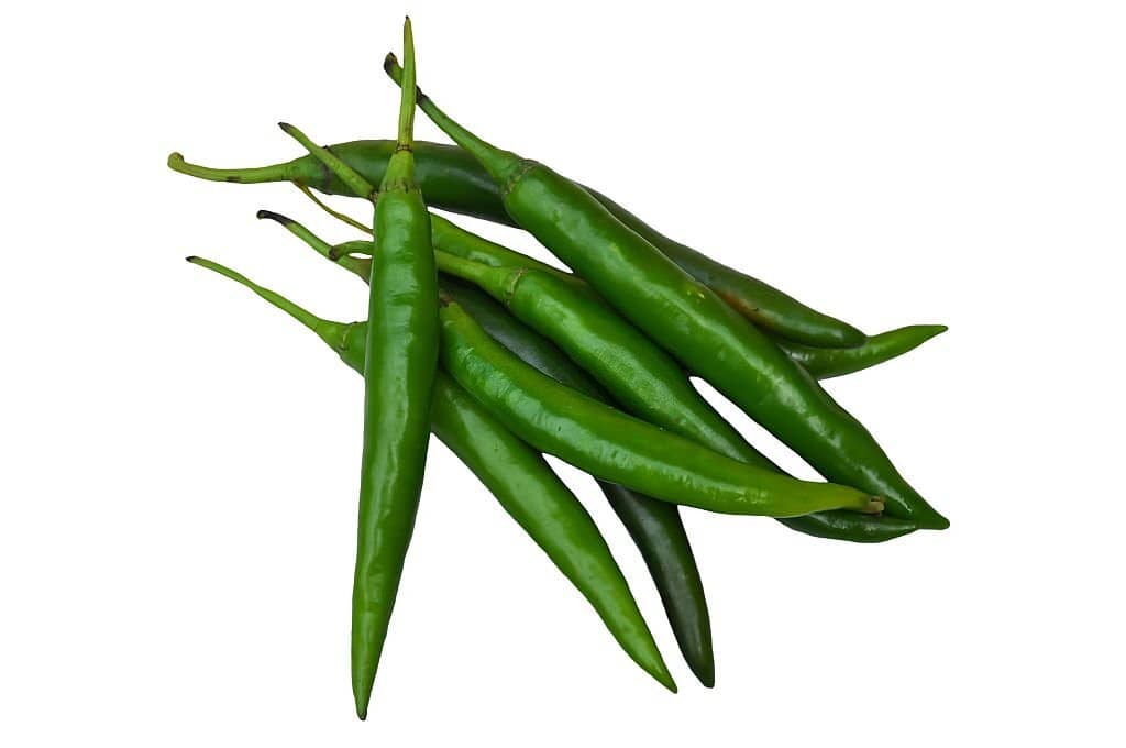 oxybiz Green chilli