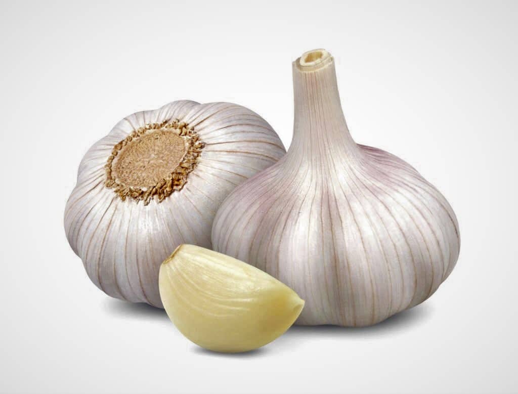 oxybiz garlic