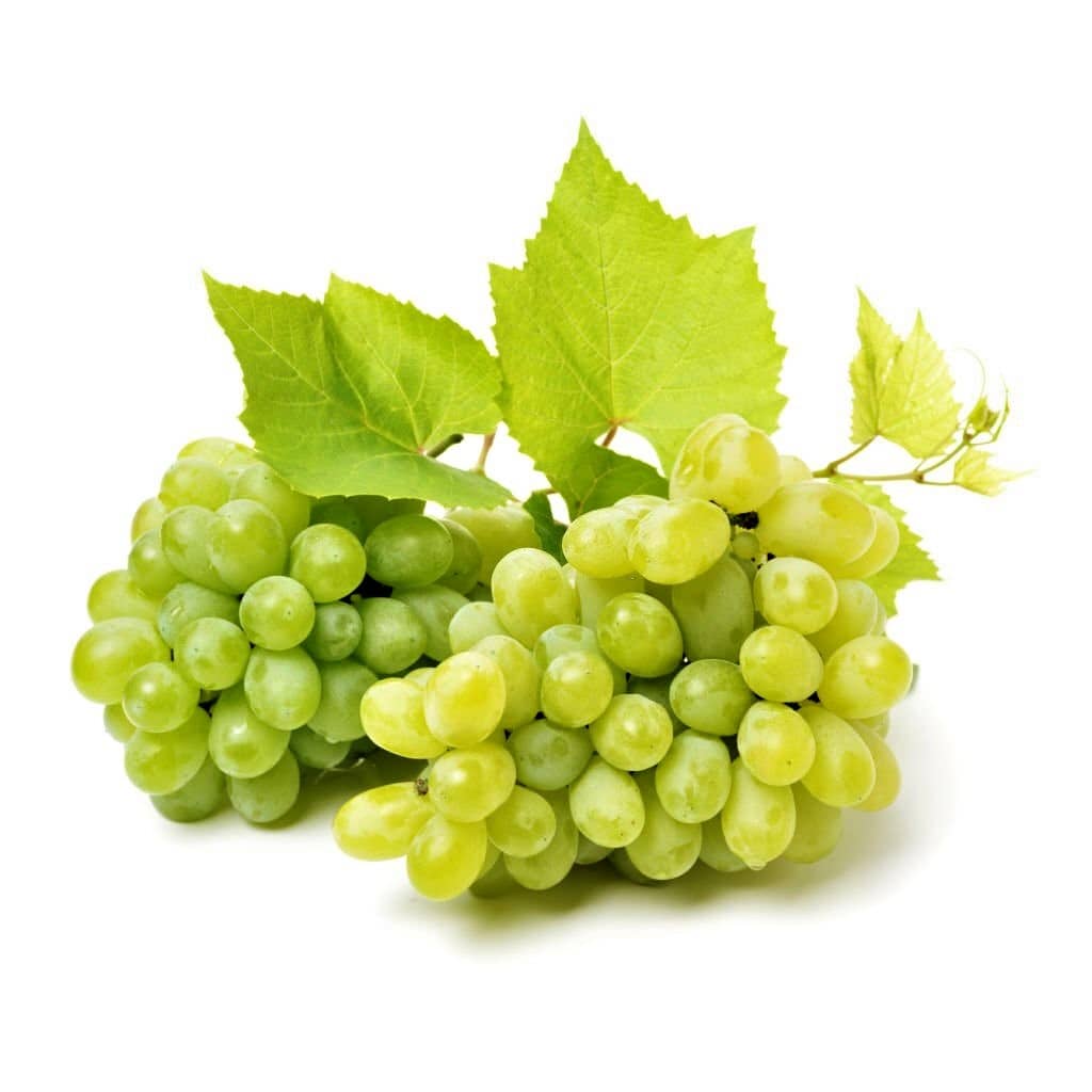 grapes 2024