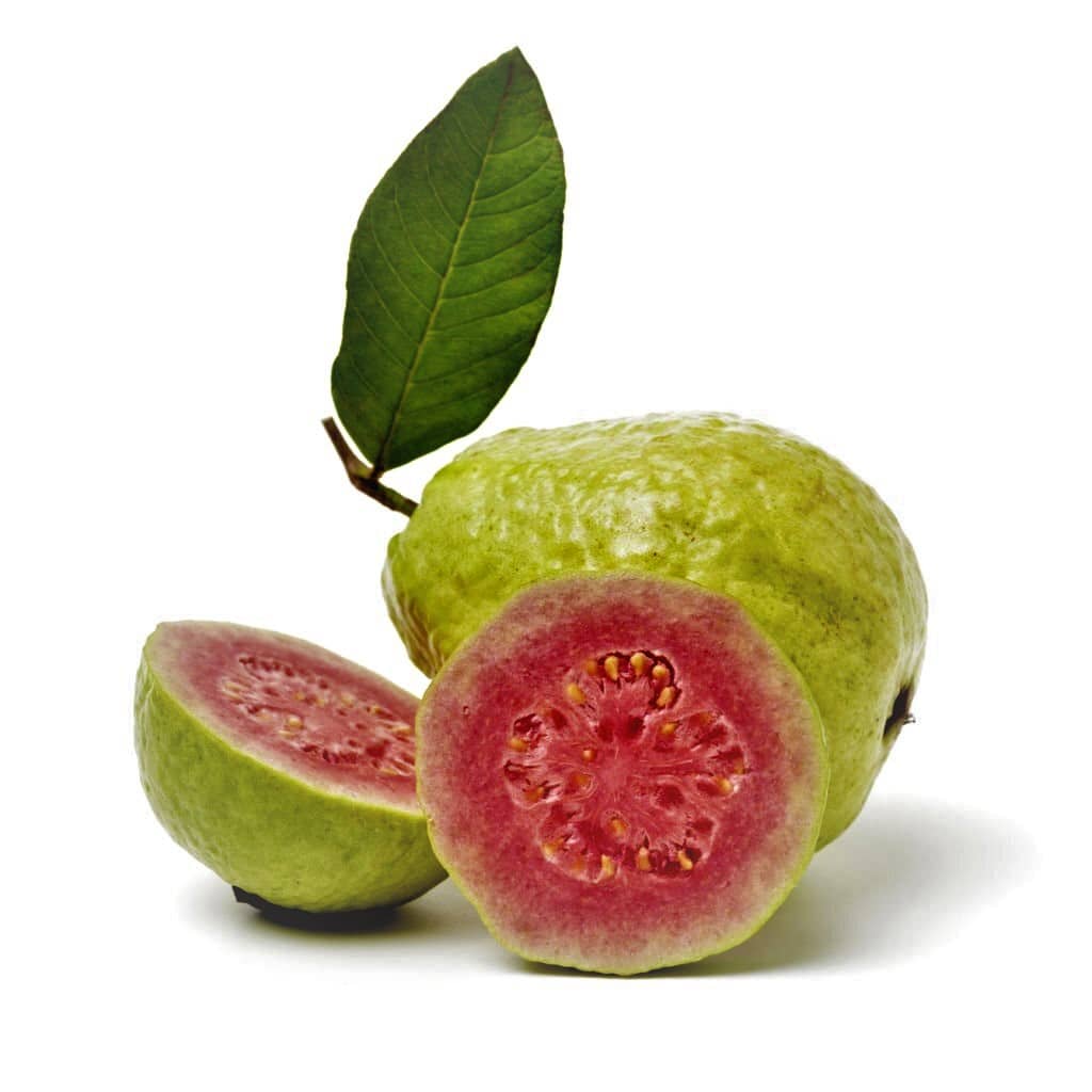 oxybiz guava