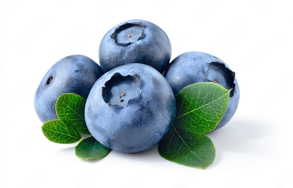 Oxybiz Blueberry powder webp 2024