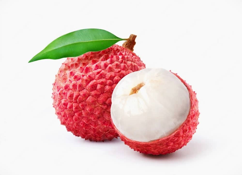 Oxybiz Lychee Powder