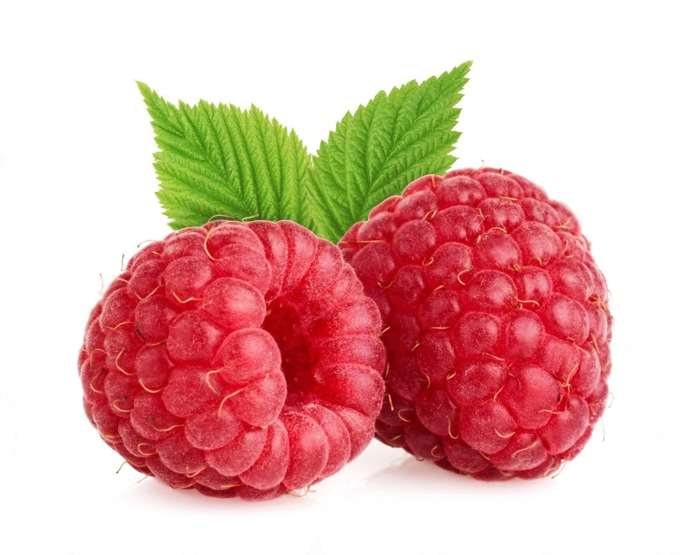 Oxybiz Raspberry Powder Webp 2024